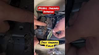 Mobil Jarang Dipakai,Jadi Sarang Tikus #shorts #nissan #grandlivina #livina #bengkel