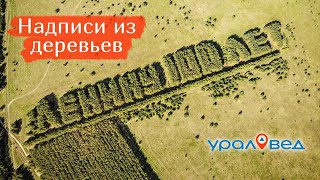 Надписи из деревьев "Ленину 100 лет" и "60 лет СССР". Путешествие по Курганской области | Ураловед