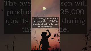 The average person will produce about... | Human body facts| #shorts