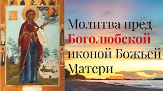 Молитва пред чудотворной Боголюбской иконой Богородицы. Молится о здравии и различных нуждах