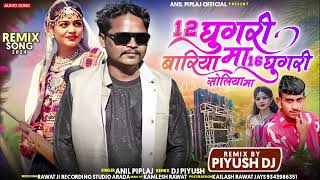 12_घुघरी_बारिया_मां_16_घुघरी_सोलीया_मां___Singer_-_anil_piplaj___New_aadivasi_dj_remix_song_2024