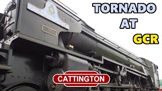 Tornado At Great Central Railway 2021