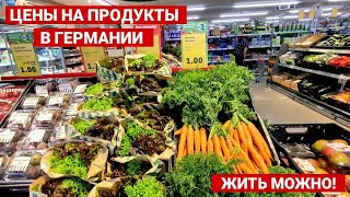 Цены на продукты питания в Германии в магазинах Lidl и Penny | Подарок немцам своими руками