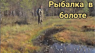 Рыбалка по "окошкам" в болоте.