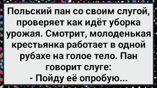 Как Пан Тадеуш Крестьянку Опробовал! Большой Сборник Свежих Смешных Анекдотов!