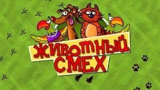 Животный смех (выпуск 4)