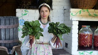 Secrets of the village. Pressing cherry wine by old squeezer. Cooking beetroot leaves