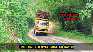 Truk umplung nekat !! muatan overload di tanjakan ini kompilasi truk muatan tebu