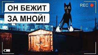 Меня схватил КАРТУН КЭТ!!! (CARTOON CAT) / переписка Юры