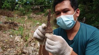 PENEMUAN KERIS PUSAKA KUNO DI SUNGAI | TIM PENELUSURAN WESI AJI #shorts