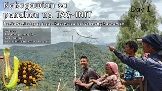 Pagbahagi at pagbigay halaga sa KATUTUBONG KAALAMAN | Nakagawian sa panahon ng TAG-INIT | FORAGING