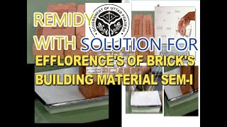 EFFLORENCE'S OF BRICK'S & REMEDY TO RESOLVE EFFLORENCES