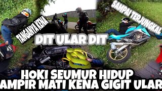 PRANK  || JADI KETAUAN KALO GW TAKUT ULAR