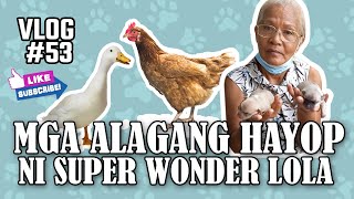 MGA ALAGANG HAYOP NI SUPER WONDER LOLA ( PET LOVER)