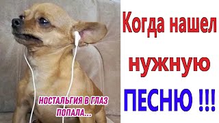 ПРИКОЛЫ! КОГДА НАШЁЛ НУЖНУЮ ПЕСНЮ!!! МЕМЫ, шутки, смешные истории от Доми шоу