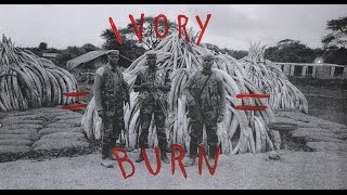 Ivory Burn in Kenya