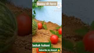 lMonkey की मेहनत #shortsvideo #shortanimalvideo #bachhokikahanil