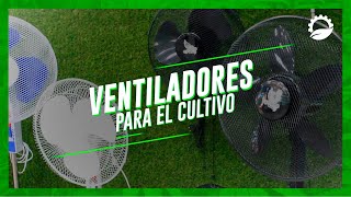 ¿QUÉ VENTILADOR ELEGIR PARA UN CULTIVO INTERIOR?