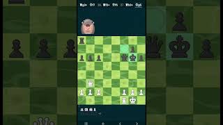 Curious moo new chess bot