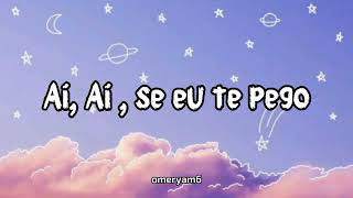 Ai se eu te pego🎶 | Michel Telo | lyrics video