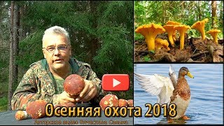 Осенняя охота на утку 2018.  Выходные в лесу!