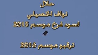 حمام لوت اسود فرخ موسم 2015 ترقبو موسم 2016 إن شاءالله.