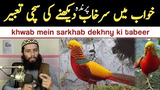 khwab mein sukhab dekhna | khwab Mein Surkhab dekhne ya pakarne ki tabeer | خواب میں سرخاب دیکھنا