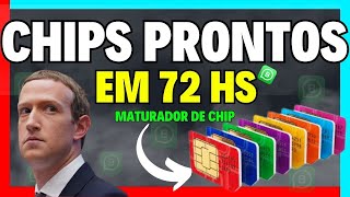 MATURADOR DE CHIP - PASSO A PASSO COMPLETO - CHIP PRONTO EM MENOS DE 72 HORAS