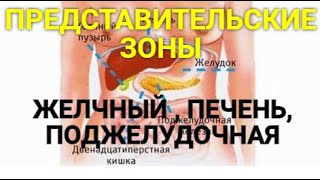 Как там ваш желчный пузырь? Печень? Поджелудочная?