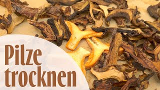 20221018 Funghi secchi- Pilze trocknen , einfach schnelles Rezept um Pilzen zu konservieren