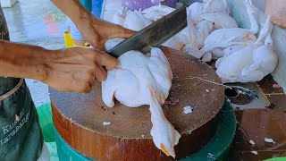 LETI TANGAN HARI INI ORANG SERBU BELI AYAM || POTONG BERMACAM BAHGIAN || Amad swg