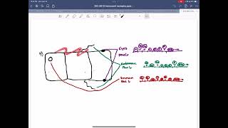 302 08 2022 Homework Examples and Feedback