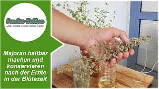 Majoran 🌿 haltbar machen und konservieren nach der Ernte in der Blütezeit