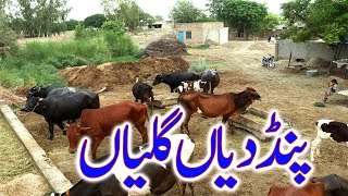 Village Life in Pakistan | Pakistani Punjab Village Life | Rural life pakistan | Punjab Lifestyle