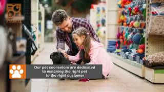 Everything Puppies - Why choose Petland? (2019)