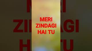 Meri Zindagi Hai Tu ❤️| WhatsApp Status Best #jubinnautiyal #emotional #tseries #a2_sir #shorts #YT