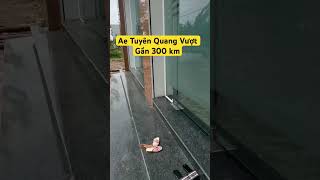 Đón tiếp ae Tuyên Quang vươtj gần 300 km về mua 6 đôi loa B3 ! zalo 0365888988