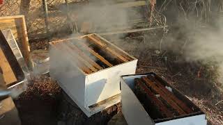 Adding a Bee Nuc to a hive.