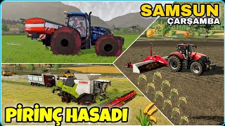 SAMSUN'DA ÇELTİK İŞİNE GİRDİK - BAŞTAN SONA ÇELTİK HASADI 🌾 FS22 PİRİNÇ NASIL EKİLİR❗️AGRO SUL RICE