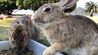 Bunny leaned forward.