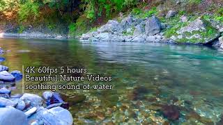 Relaxation*Nature*Water Sounds 4K(60fps)High Quality Sound 「Healing clear stream」🌏