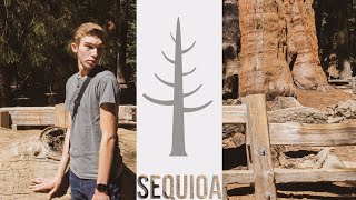 Sequoia National Park BEST HIKES