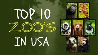 Top 10 Best Zoos to Visit in USA