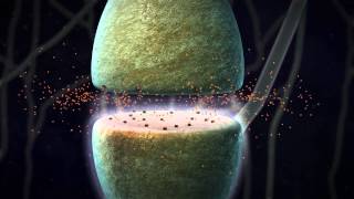 Chemical Synapse Animation