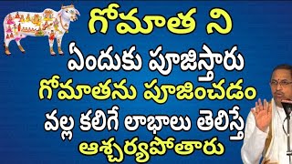 Benefits of Gomatha pooja Blessings of Gomata worship Chaganti koteswara rao speeches on Gomata