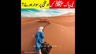 Jab Nabi Pak Camel Pr Sawar Huwy | #islamic #shorts #facts #islamfacts