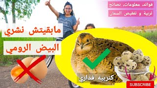 خرجة زوينة انا وليداتي لعبت تا سخفت👩‍👧‍👦⁩كيفاش تربي السمان وديرو فقاصة اصطناعية🐣، فوائد جد مهمة،