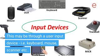 What Are the Four Basic Functions of a Computer System?