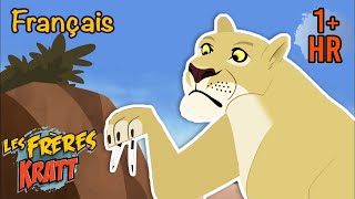 Les lions évitent cette petite créature [épisodes complets] Les Frères Kratt