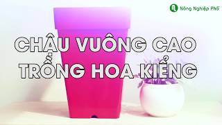 CHẬU VUÔNG CAO TRỒNG CÂY VÀ HOA KIỂNG | nongnghieppho.vn